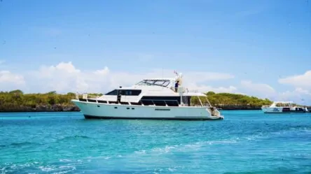 Motor yacht Summer Wind - 43 - Sparks Life Worldwide