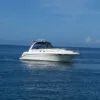 Моторная яхта Sea Ray 42