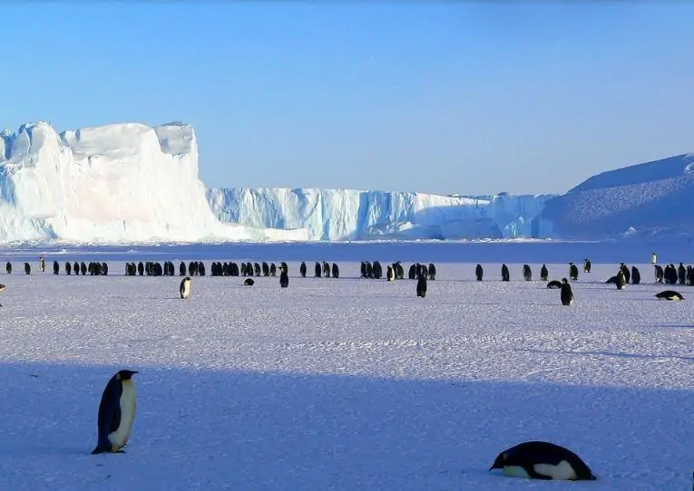 Круиз в Антарктиду – море Уэдделла