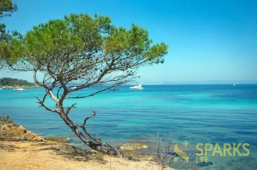 Yacht tour in France - Porquerolles island - 3 - Sparks Life Worldwide